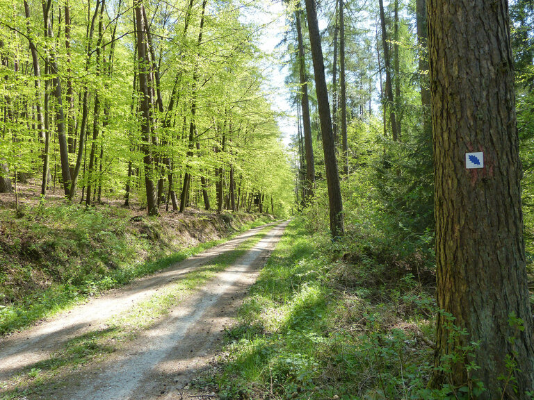 Naturpark-Rundwege : Naturpark Spessart